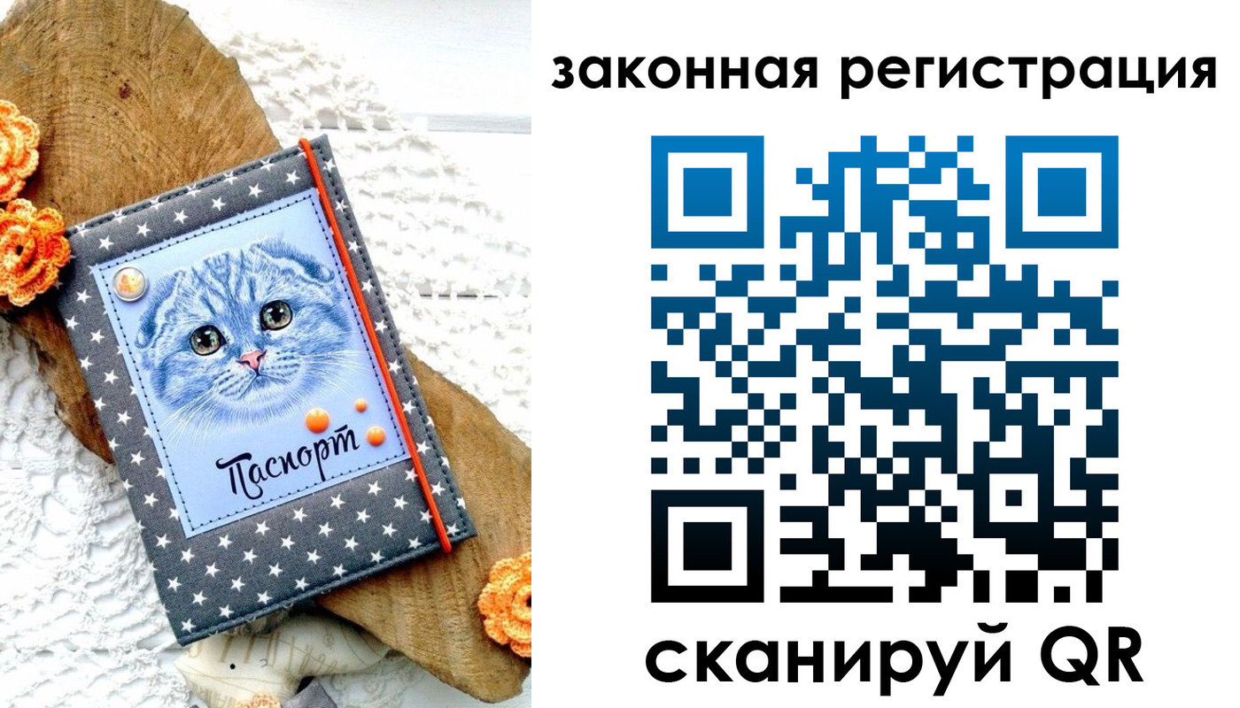 регистрация в Бавлах